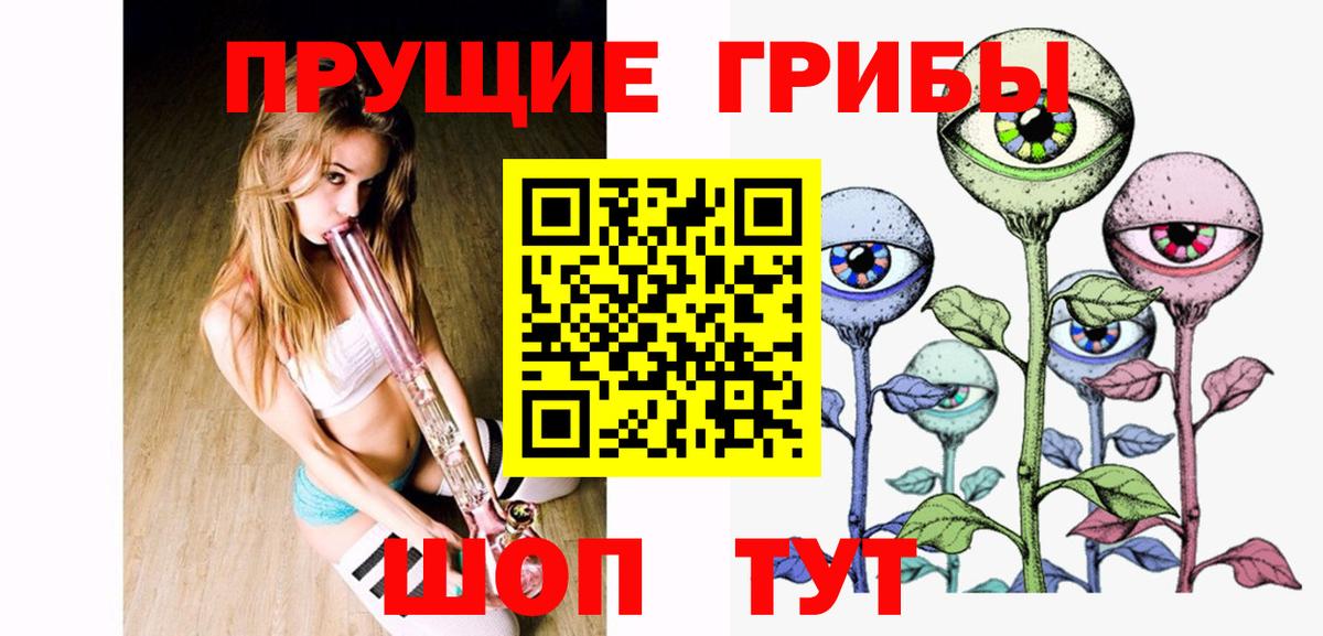Галлюциногенные грибы Psilocybe Лянтор